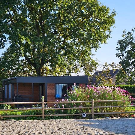 Houten Huisje Tussen Paarden Nieuwerkerken Exterior foto