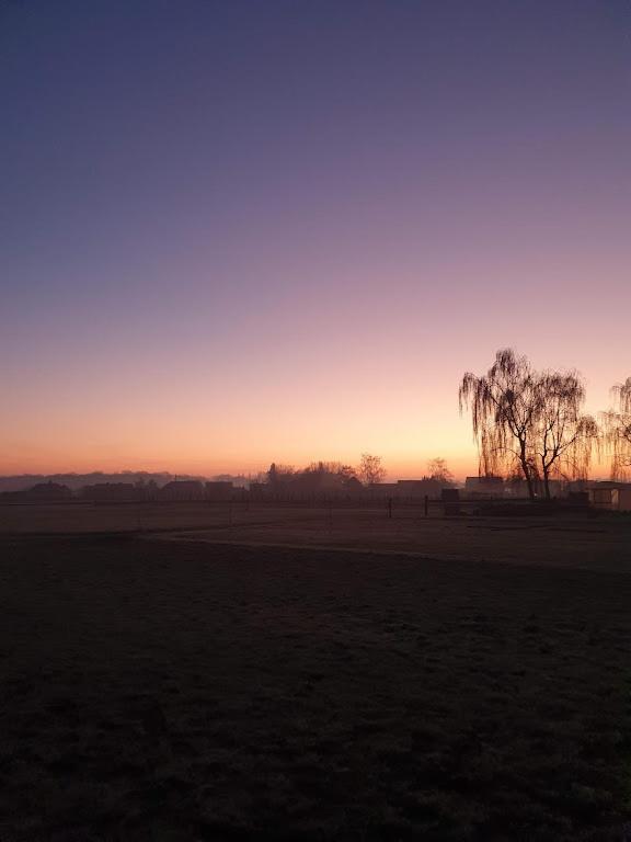 Houten Huisje Tussen Paarden Nieuwerkerken Exterior foto